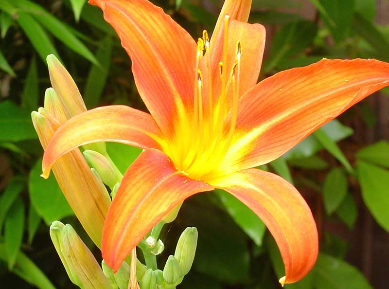 Rachel Hartley - ideas and inspiration