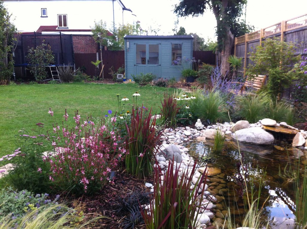 Water feature and shed in south London garden