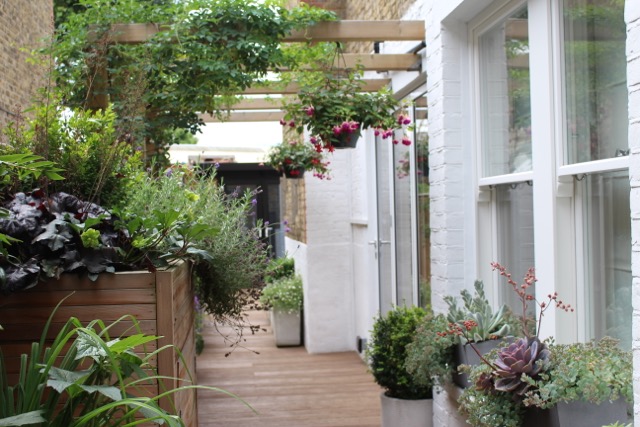 Side Return Garden Transformed In Balham Designed By Rachel Hartley